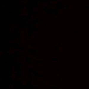 Meet your Posher, Izayah